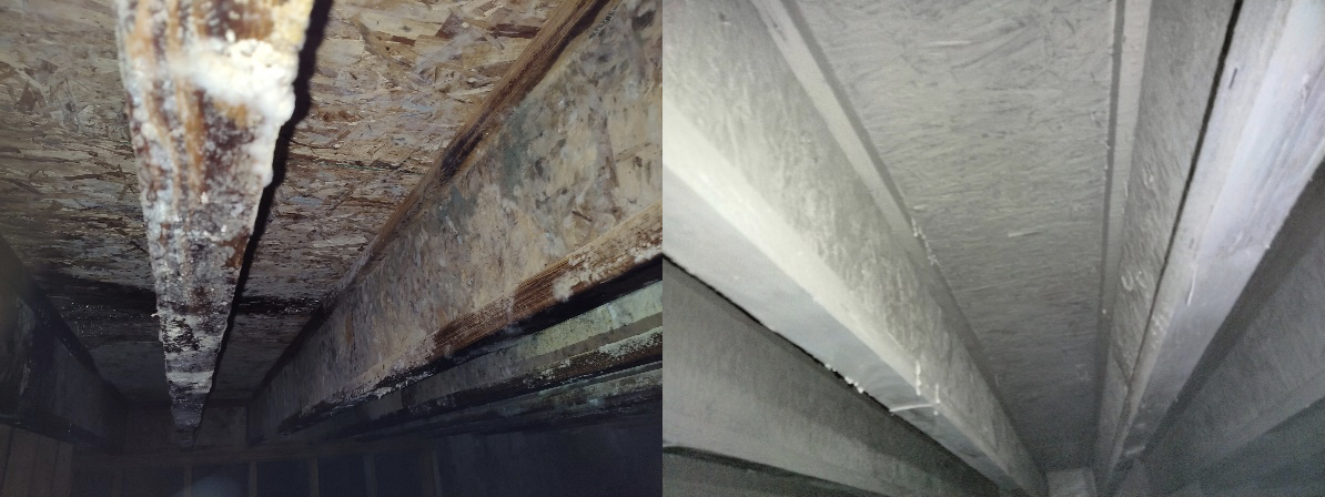 Mold remediation before and after pics